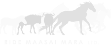 Ride Maasai Mara